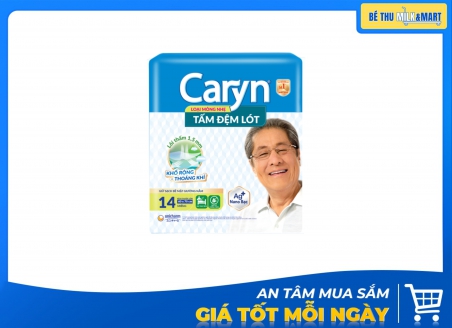 Tấm Đệm Lót Caryn XL 14 Miếng